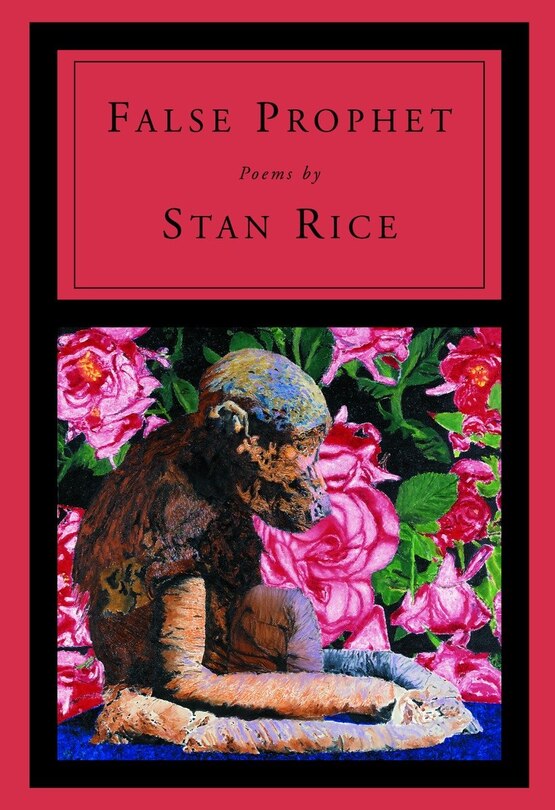Front cover_False Prophet