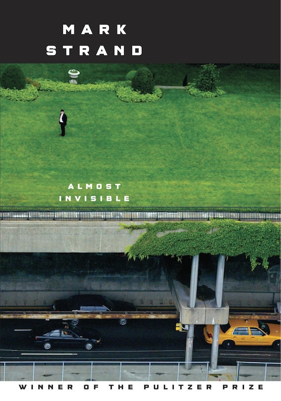 Front cover_Almost Invisible