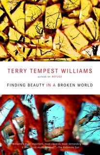 Front cover_Finding Beauty In A Broken World