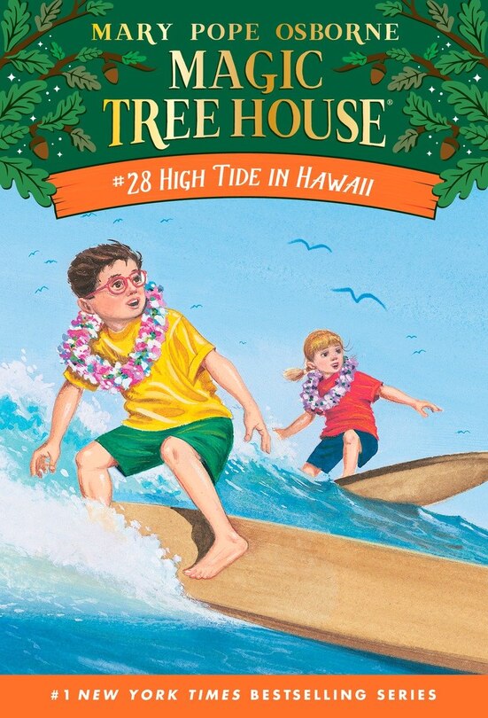 Couverture_High Tide In Hawaii