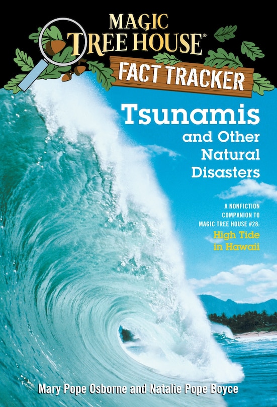 Couverture_Tsunamis And Other Natural Disasters
