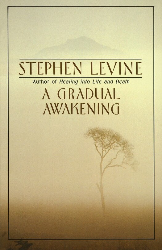 Front cover_A Gradual Awakening