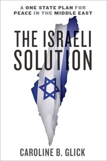 Couverture_The Israeli Solution
