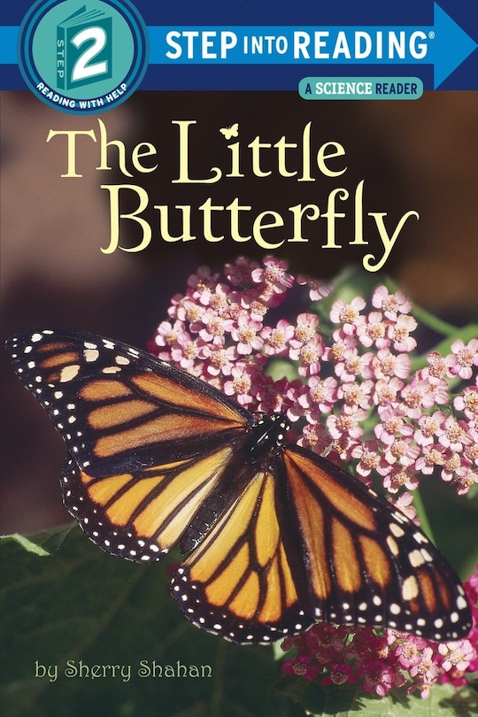 Couverture_The Little Butterfly