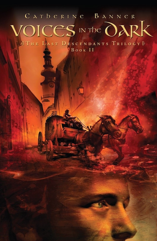 Front cover_Voices In The Dark
