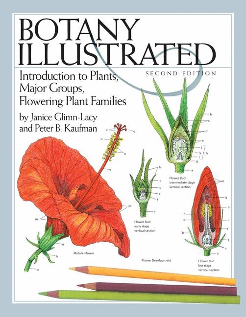 Front cover_Botany Illustrated