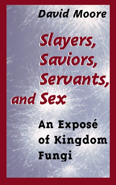 Front cover_Slayers, Saviors, Servants and Sex