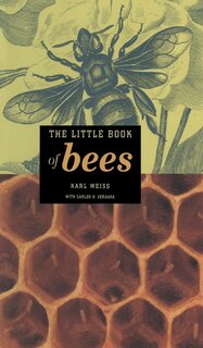 Front cover_The Little Book of Bees