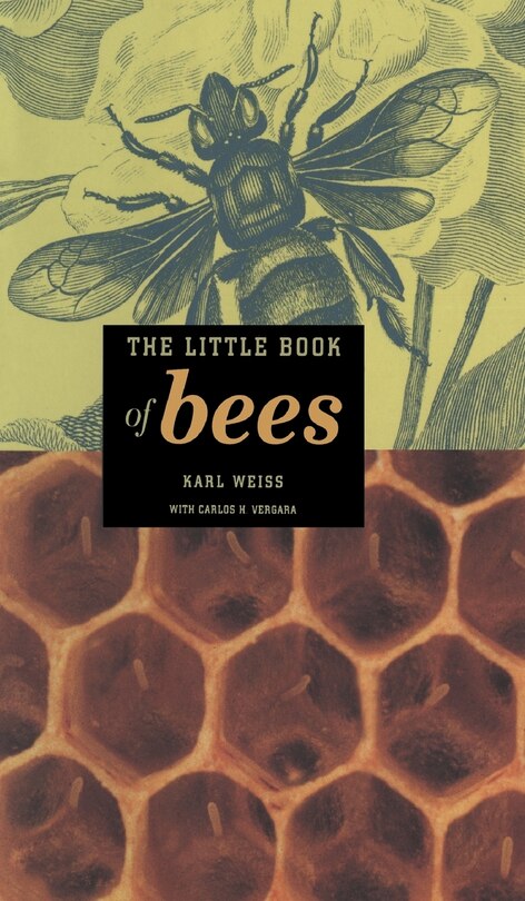 Front cover_The Little Book of Bees