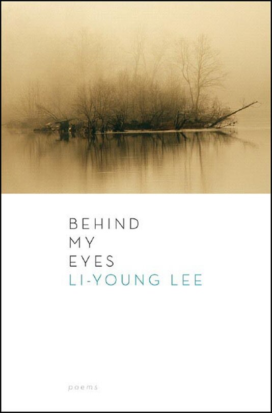 Couverture_Behind My Eyes