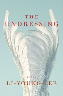 Front cover_The Undressing