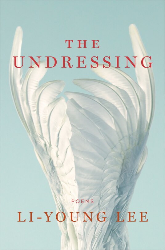 Front cover_The Undressing