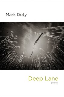 Front cover_Deep Lane