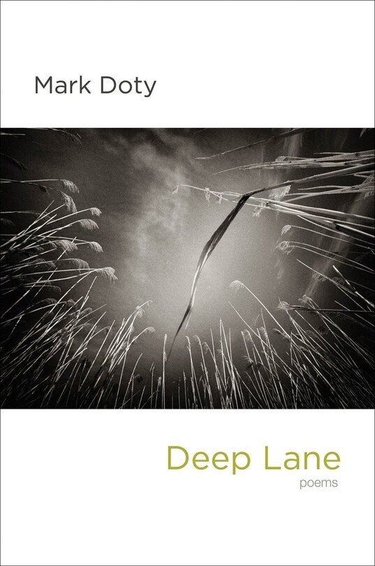 Front cover_Deep Lane