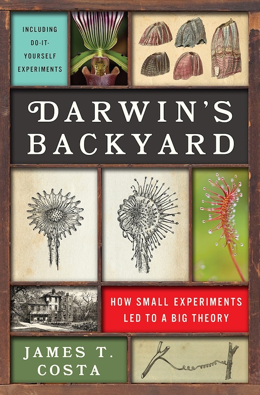 Front cover_Darwin's Backyard