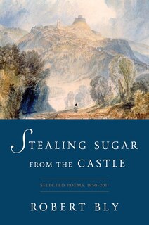 Front cover_Stealing Sugar From The Castle