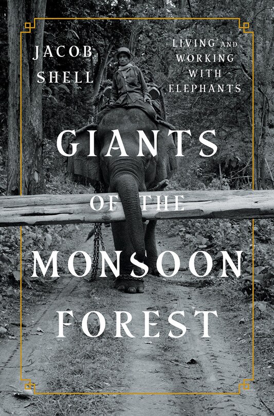 Front cover_Giants Of The Monsoon Forest