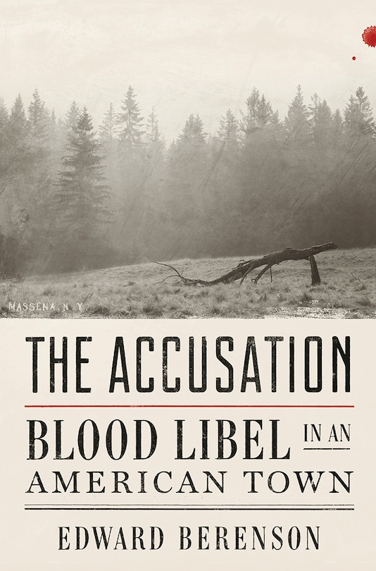 Couverture_The Accusation