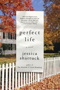 Couverture_Perfect Life