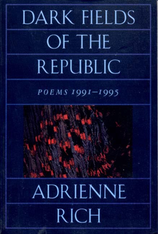 Couverture_Dark Fields of the Republic