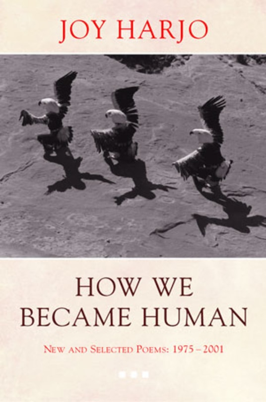 Front cover_How We Became Human