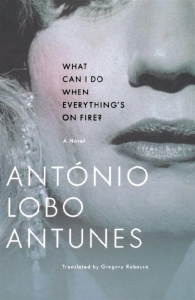 Front cover_What Can I Do When Everythings On Fire
