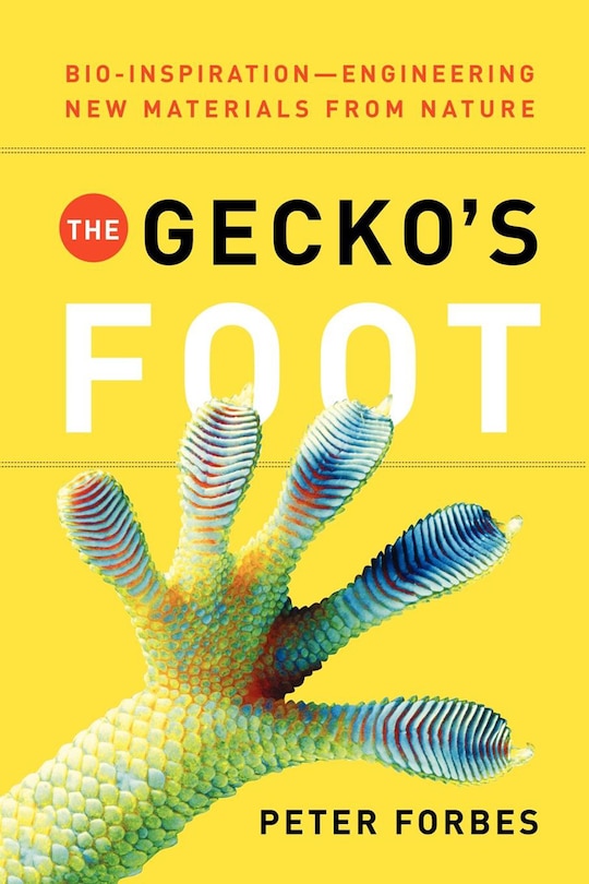 Front cover_The Gecko's Foot