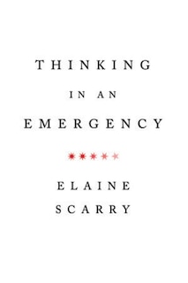Couverture_Thinking In An Emergency