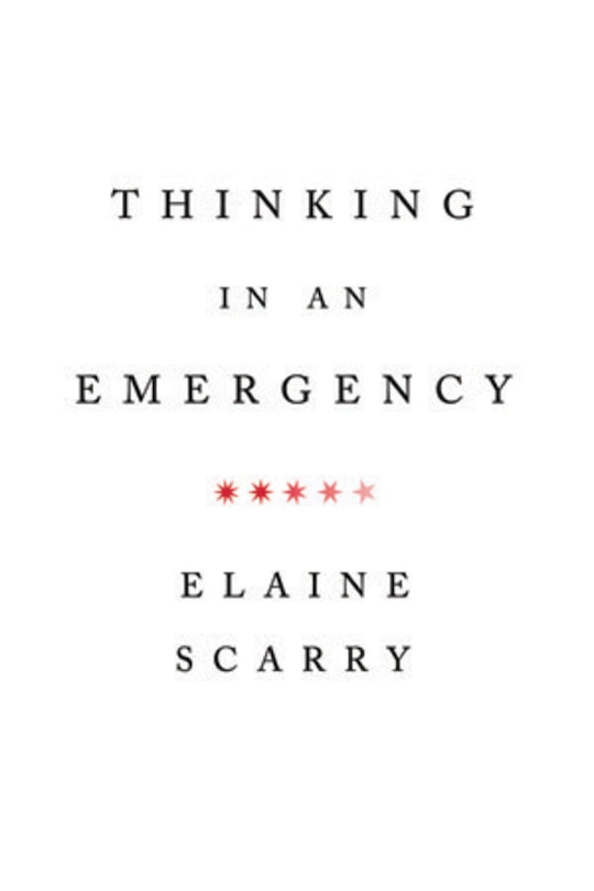 Couverture_Thinking In An Emergency