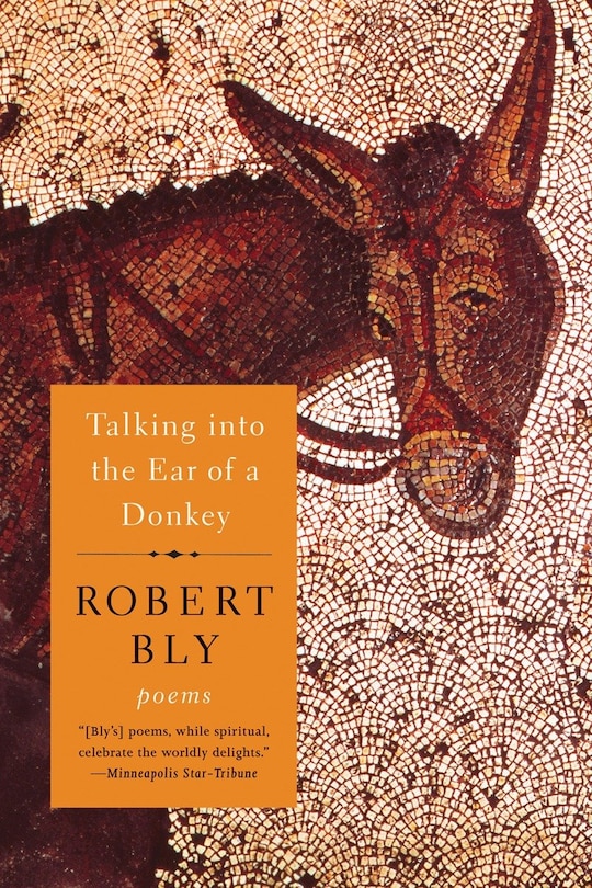 Front cover_Talking Into The Ear Of A Donkey