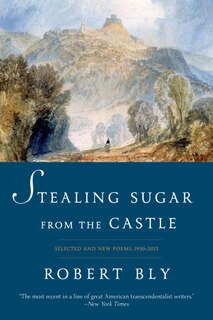 Front cover_Stealing Sugar From The Castle