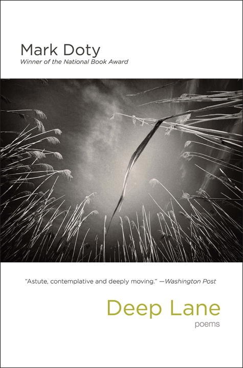 Front cover_Deep Lane