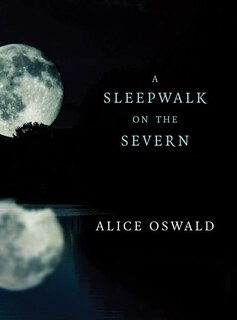 Couverture_A Sleepwalk on the Severn
