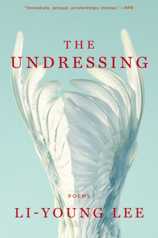 Couverture_The Undressing