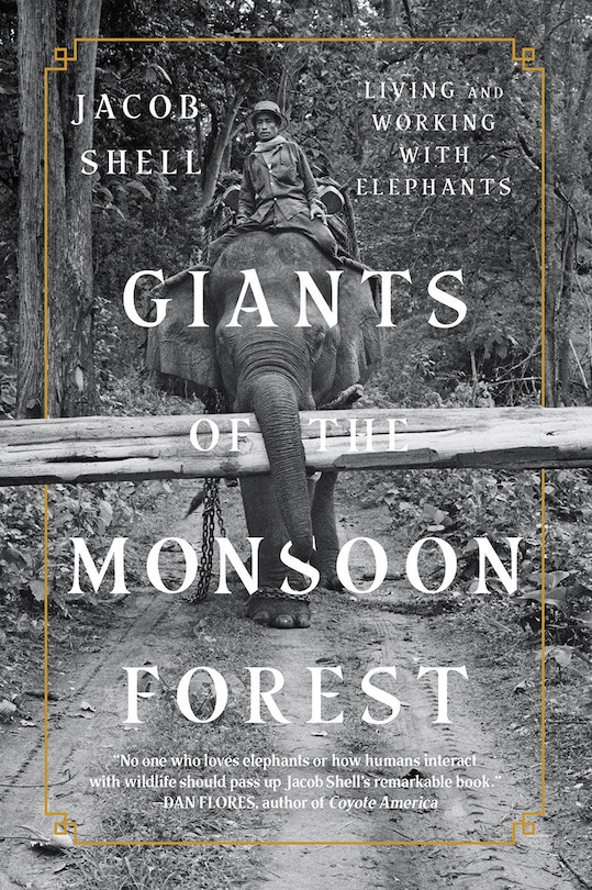 Couverture_Giants Of The Monsoon Forest