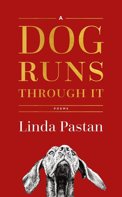 Front cover_A Dog Runs Through It