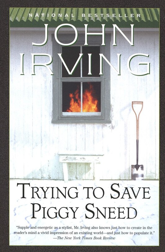 Front cover_Trying To Save Piggy Sneed