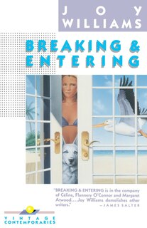 Front cover_Breaking And Entering