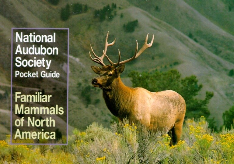 Front cover_National Audubon Society Pocket Guide To Familiar Mammals