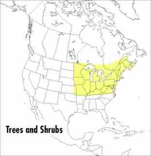 A Peterson Field Guide To Trees And Shrubs: Northeastern And North-central United States And Southeastern And South-centralcanada by George A. Petrides