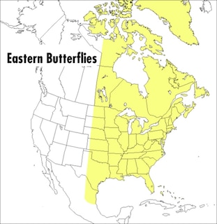 Front cover_A Peterson Field Guide To Eastern Butterflies