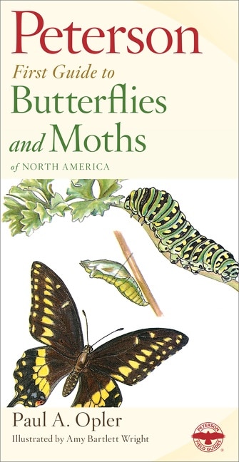 Front cover_Peterson First Guide to Butterflies and Moths