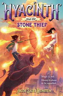 Front cover_Hyacinth And The Stone Thief