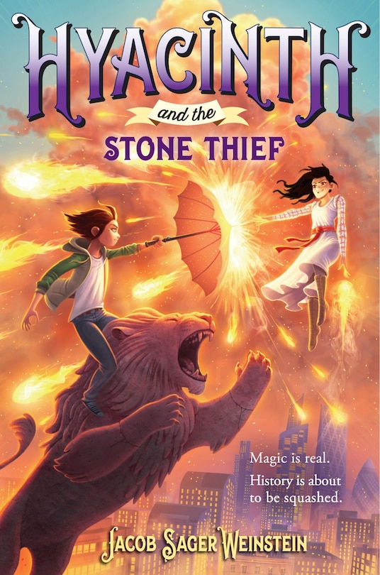 Front cover_Hyacinth And The Stone Thief