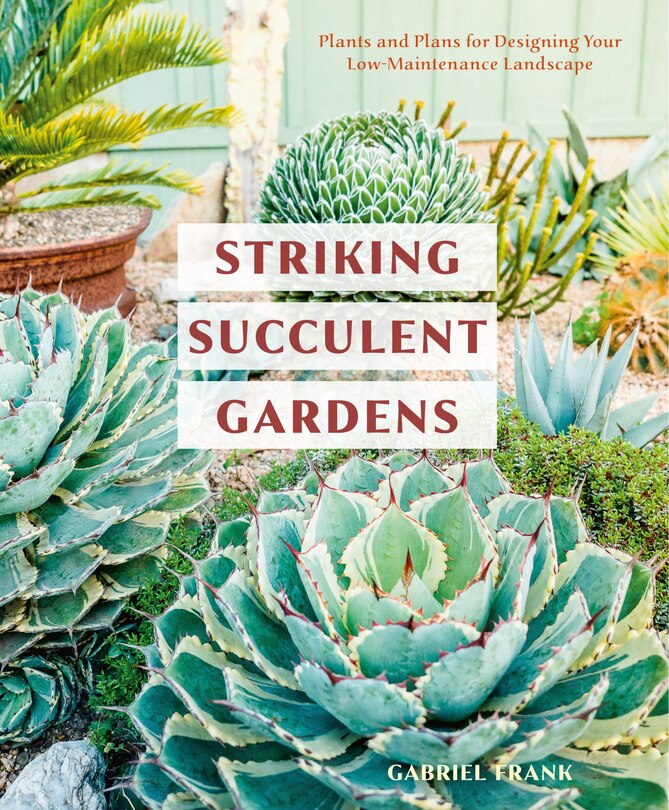 Front cover_Striking Succulent Gardens