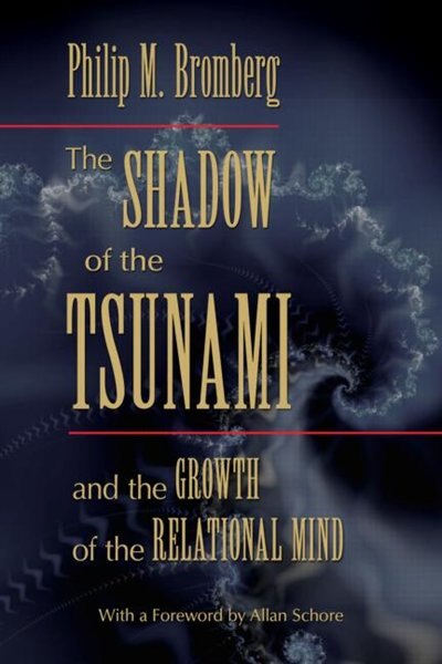 Front cover_The Shadow of the Tsunami