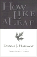 Couverture_How Like a Leaf