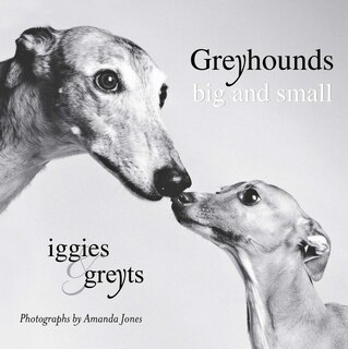 Front cover_Greyhounds Big And Small