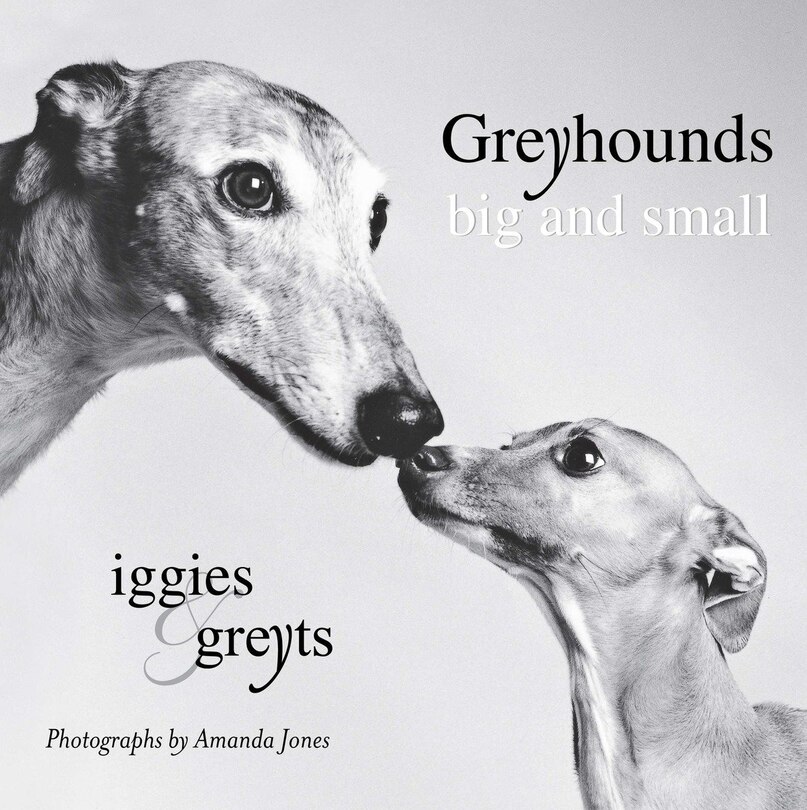 Front cover_Greyhounds Big And Small