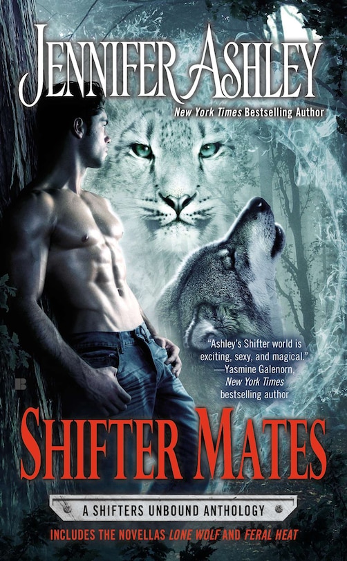 Couverture_Shifter Mates